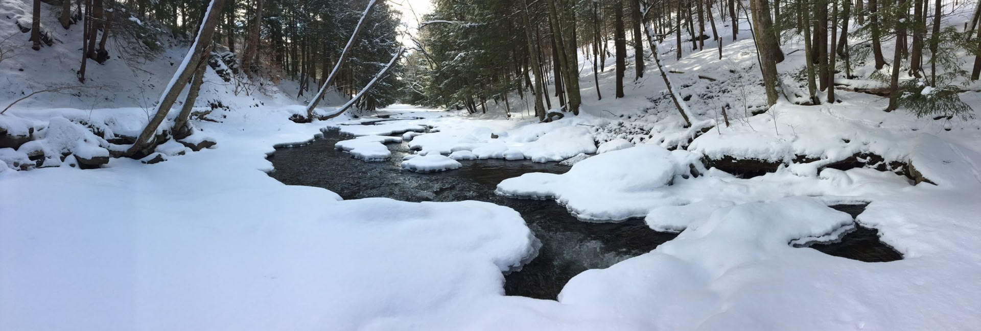 Helligt partnerskab med verden