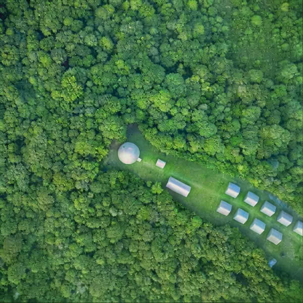 Ayahuasca-fordybelse