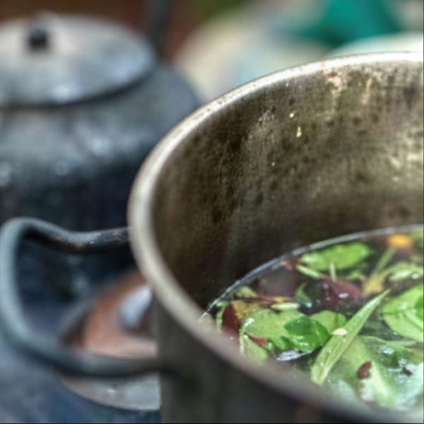 Ayahuasca-retreat i Iquitos, Peru