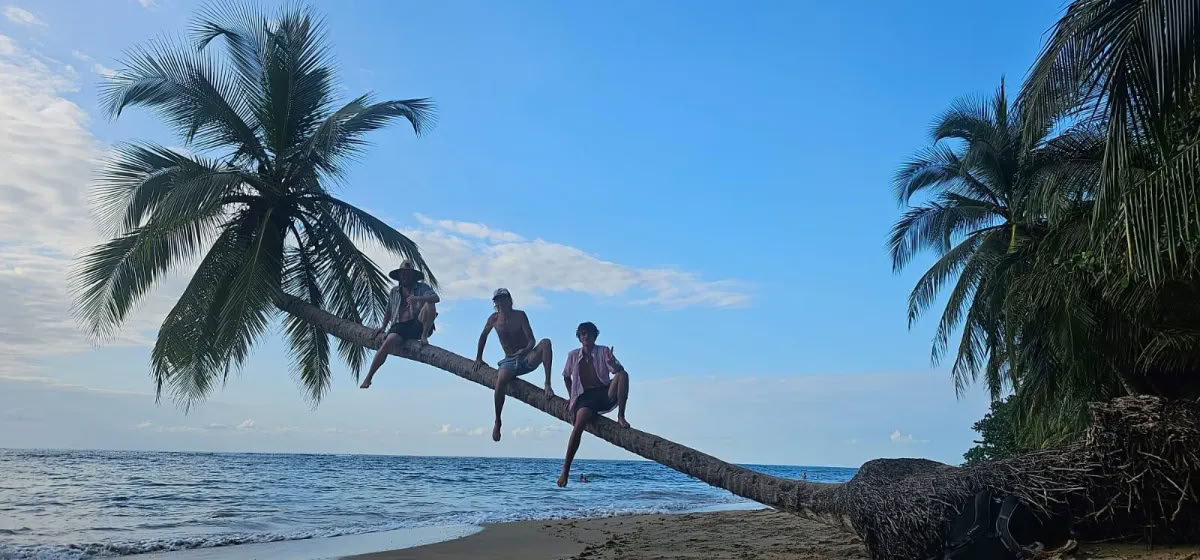 Tilbage til Paradis wellnessretreat