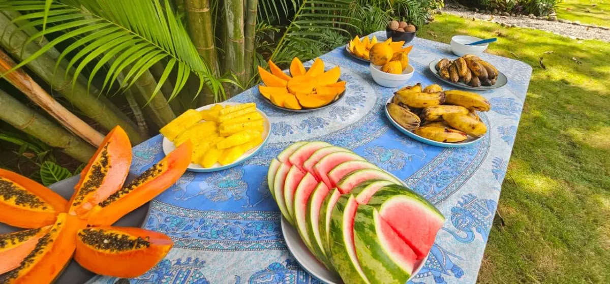 Tilbage til Paradis wellnessretreat