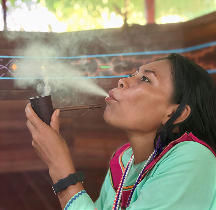 5-dages introduktion til ayahuasca og amazonsk plantemedicin
