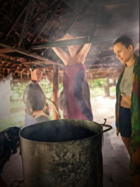 5-dages introduktion til ayahuasca og amazonsk plantemedicin