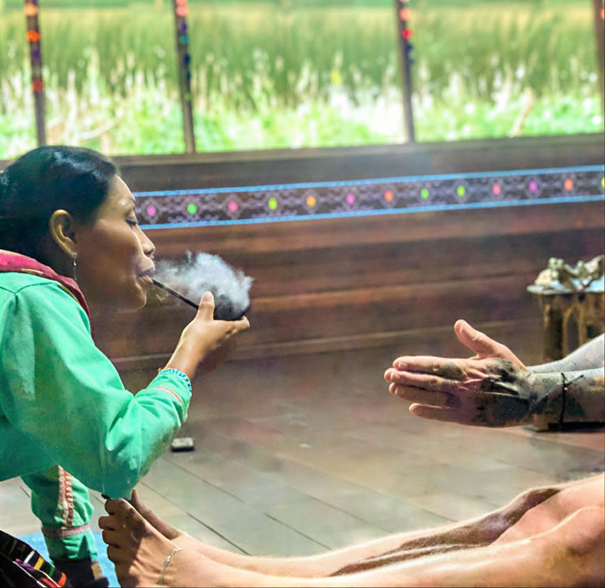 5-dages introduktion til ayahuasca og amazonsk plantemedicin