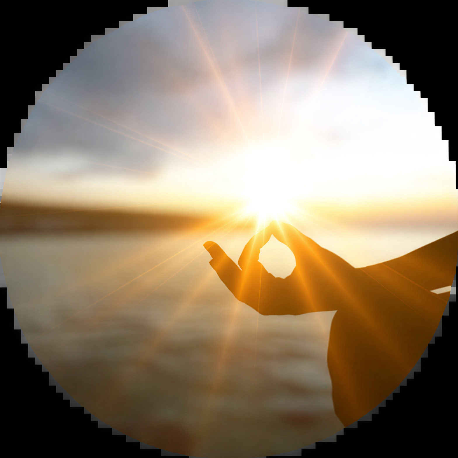 8-dages hellig plante-retreat med psilocybin / magiske svampe