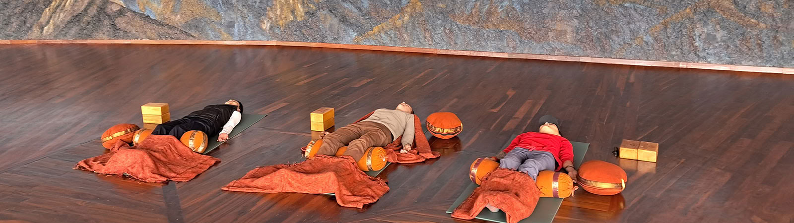 Yoga for livet-program