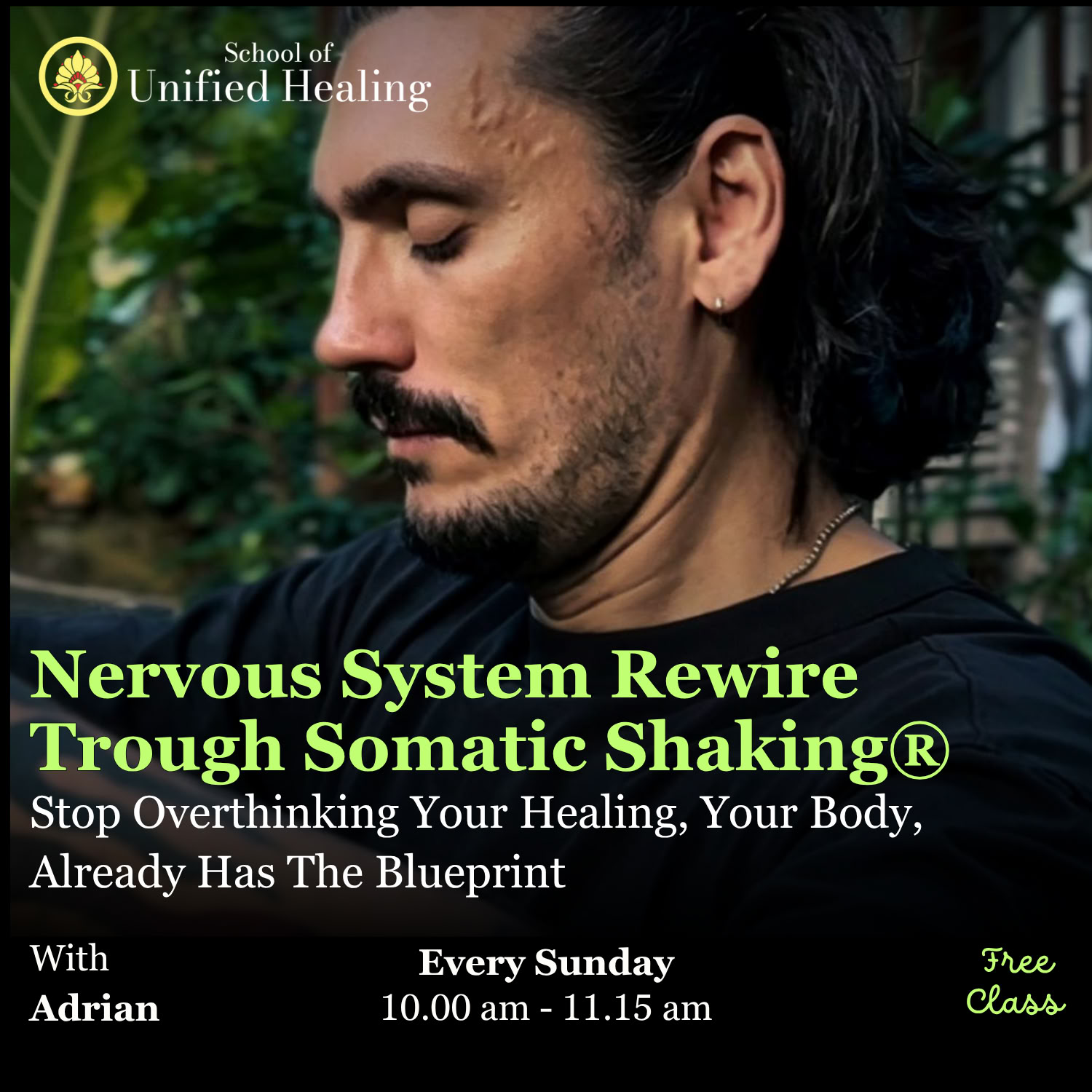 Lydhealing