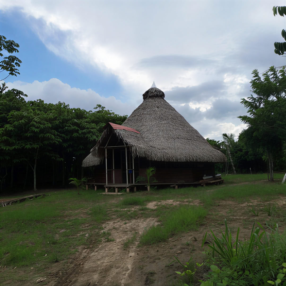 3 ugers ayahuasca-retreat i Peru
