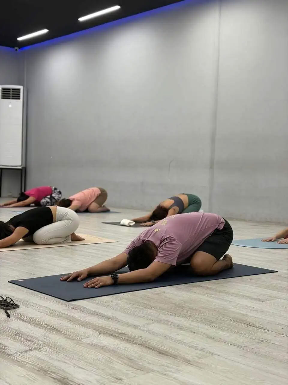 100 timers yogalæreruddannelse Rishikesh