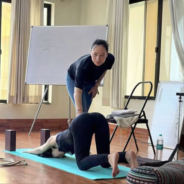 3-dages yoga-alignment workshop i Rishikesh