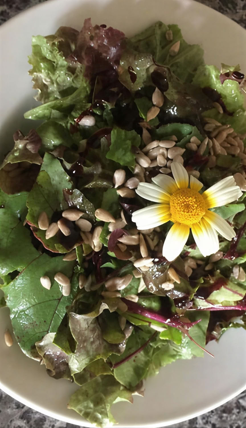 7-dages ayurveda- og yogahelende fordybelsesretreat i naturen