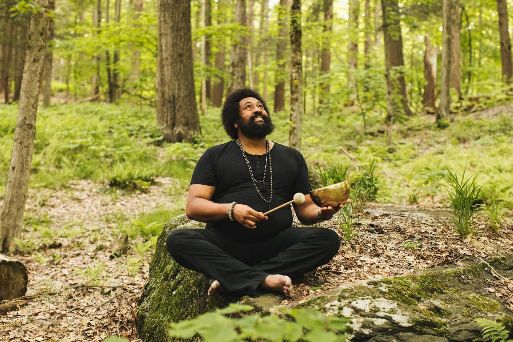 RISE: Kripalu-tilgangen til robusthed