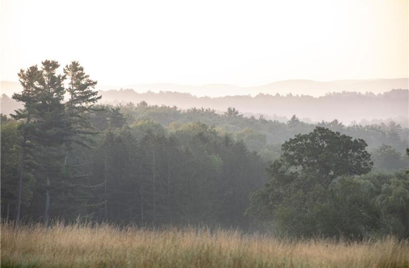 RISE: Kripalu-tilgangen til robusthed