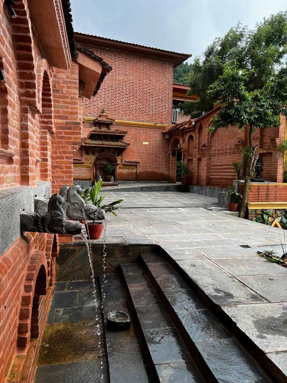 5 nætter 6 dage ayurvedisk wellness- og spirituel tur