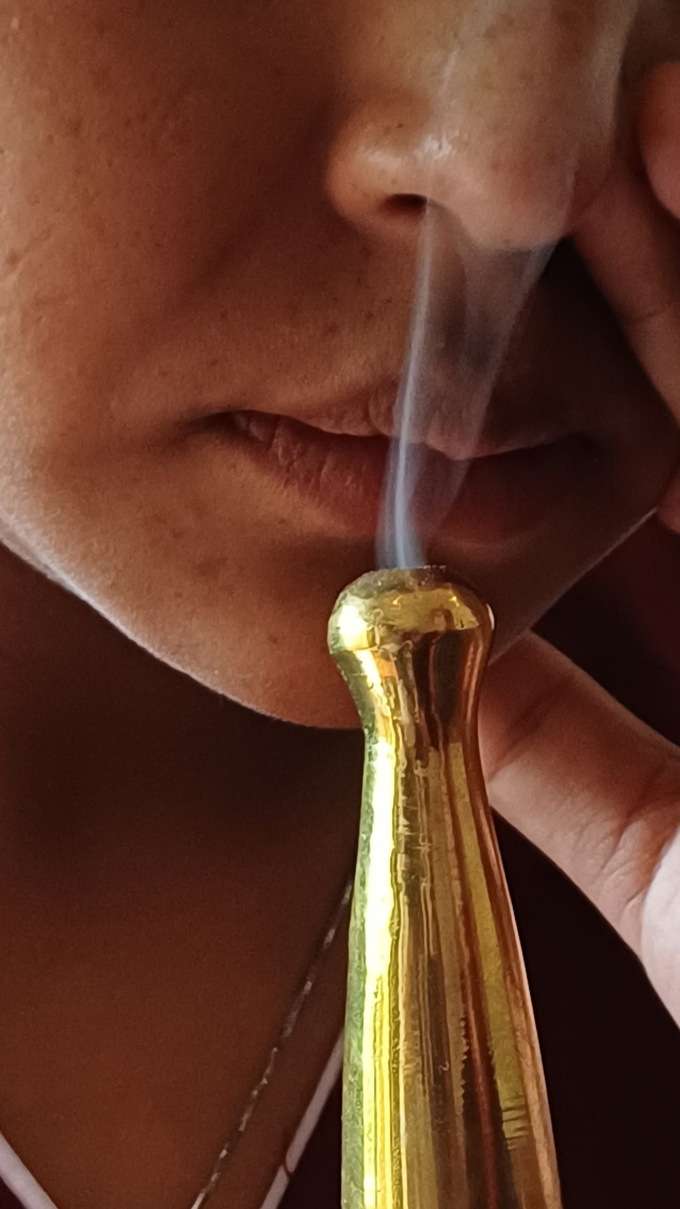 13 nætter 14 dage शोधन Detox Panchakarma-retreat