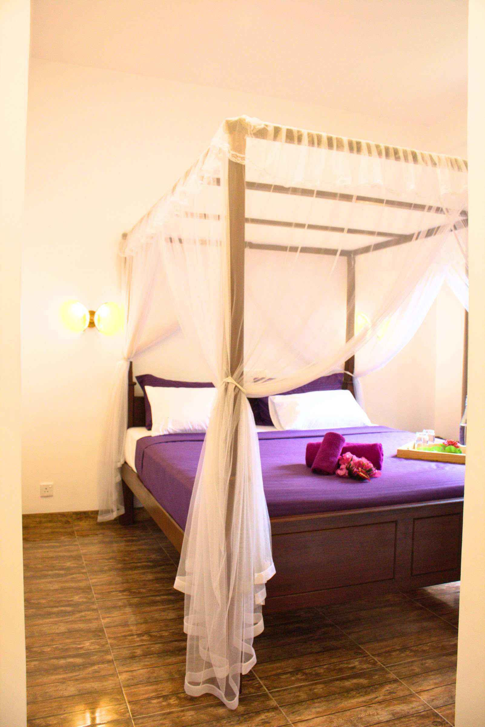 7-dages reset af nervesystemet, yoga- og meditationsretreat, Sri Lanka