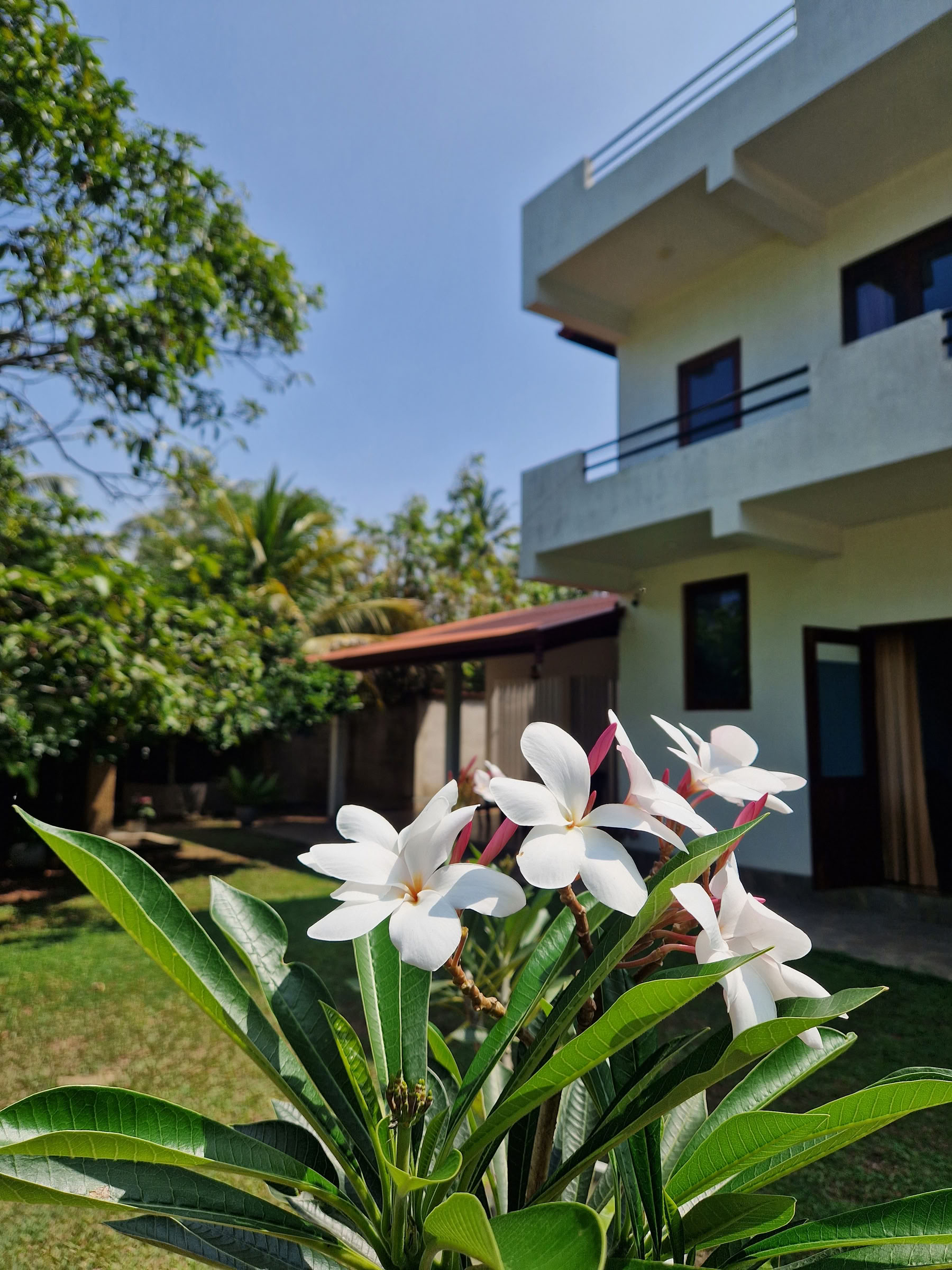 7-dages reset af nervesystemet, yoga- og meditationsretreat, Sri Lanka