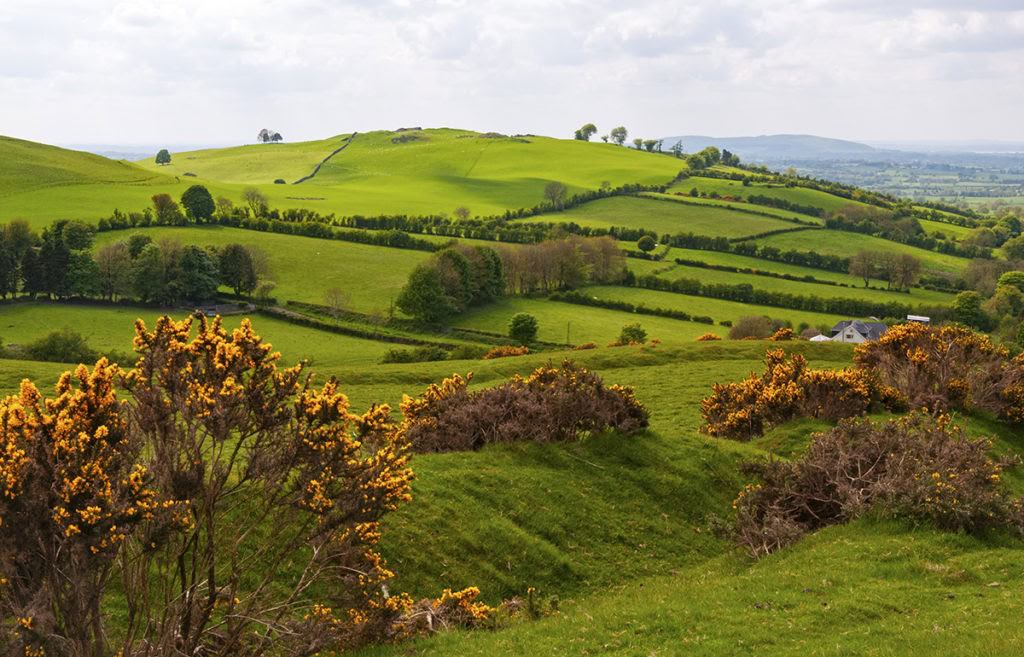 Bare Træk Vejret Familieyogaretreat, Irland