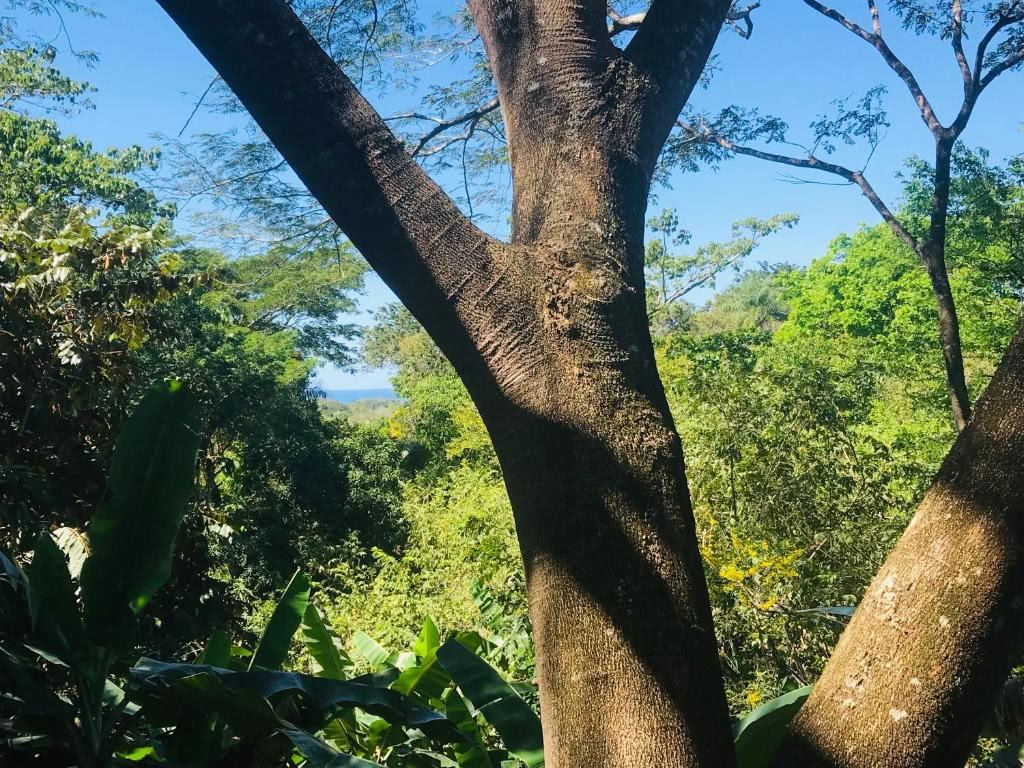 Slap af, nulstil og genopbyg i Costa Rica