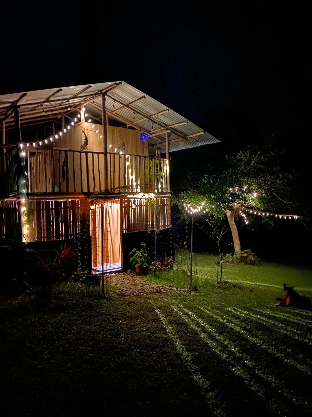 Privat psilocybin-retreat i Costa Rica