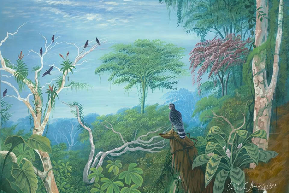 2.–7. februar 2027 | campingoplevelse i regnskoven i Costa Rica Cocoterra