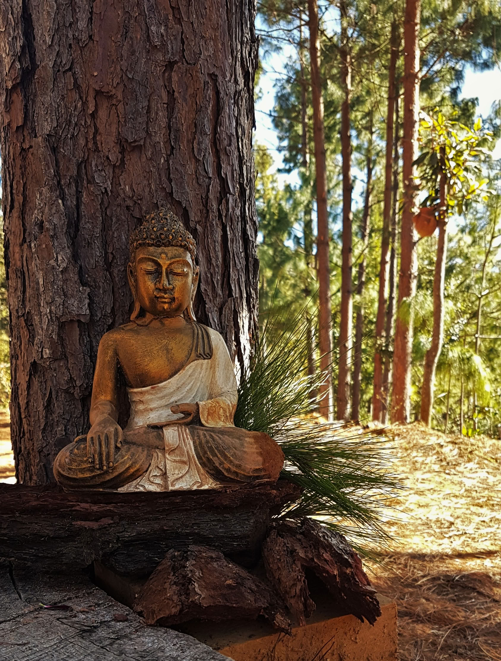 Personligt, ensomt retreat – efter anmodning