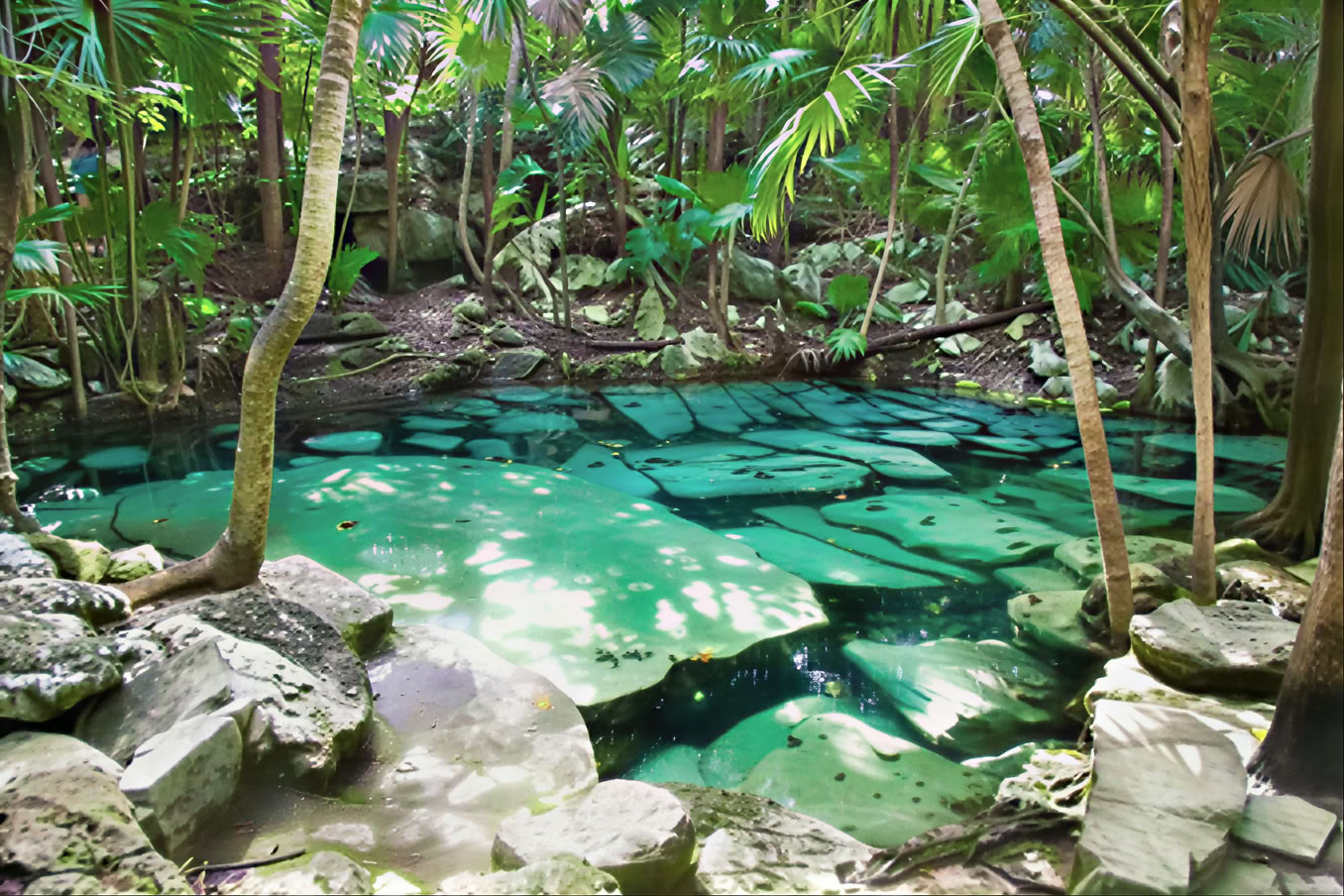 7-dages stille non-dual tantra-meditationsretreat