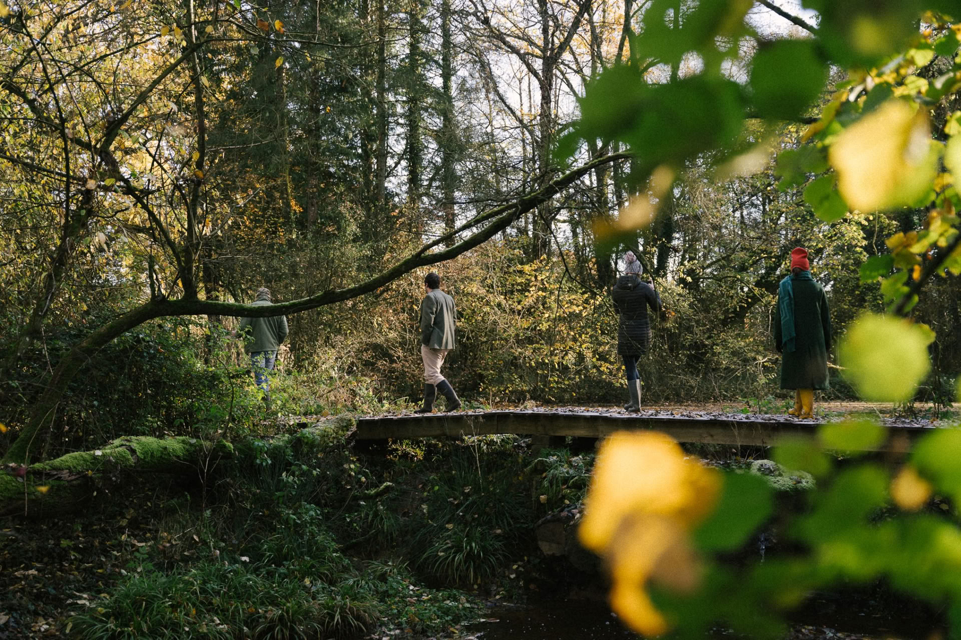 Guidet naturgenforeningsvandring