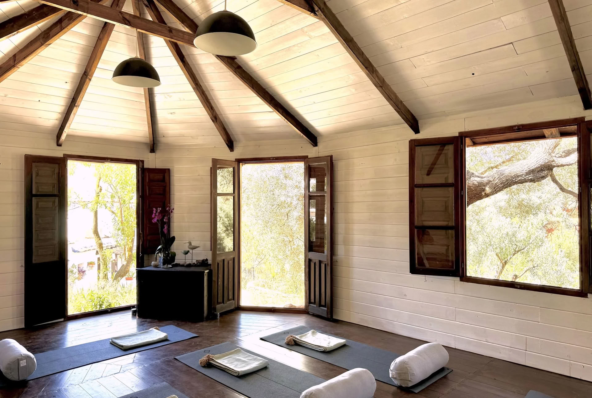 50 timers Yin Yoga-kursus - oktober