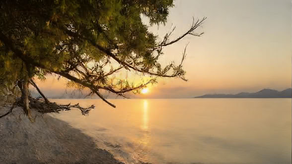 Detox-retreat