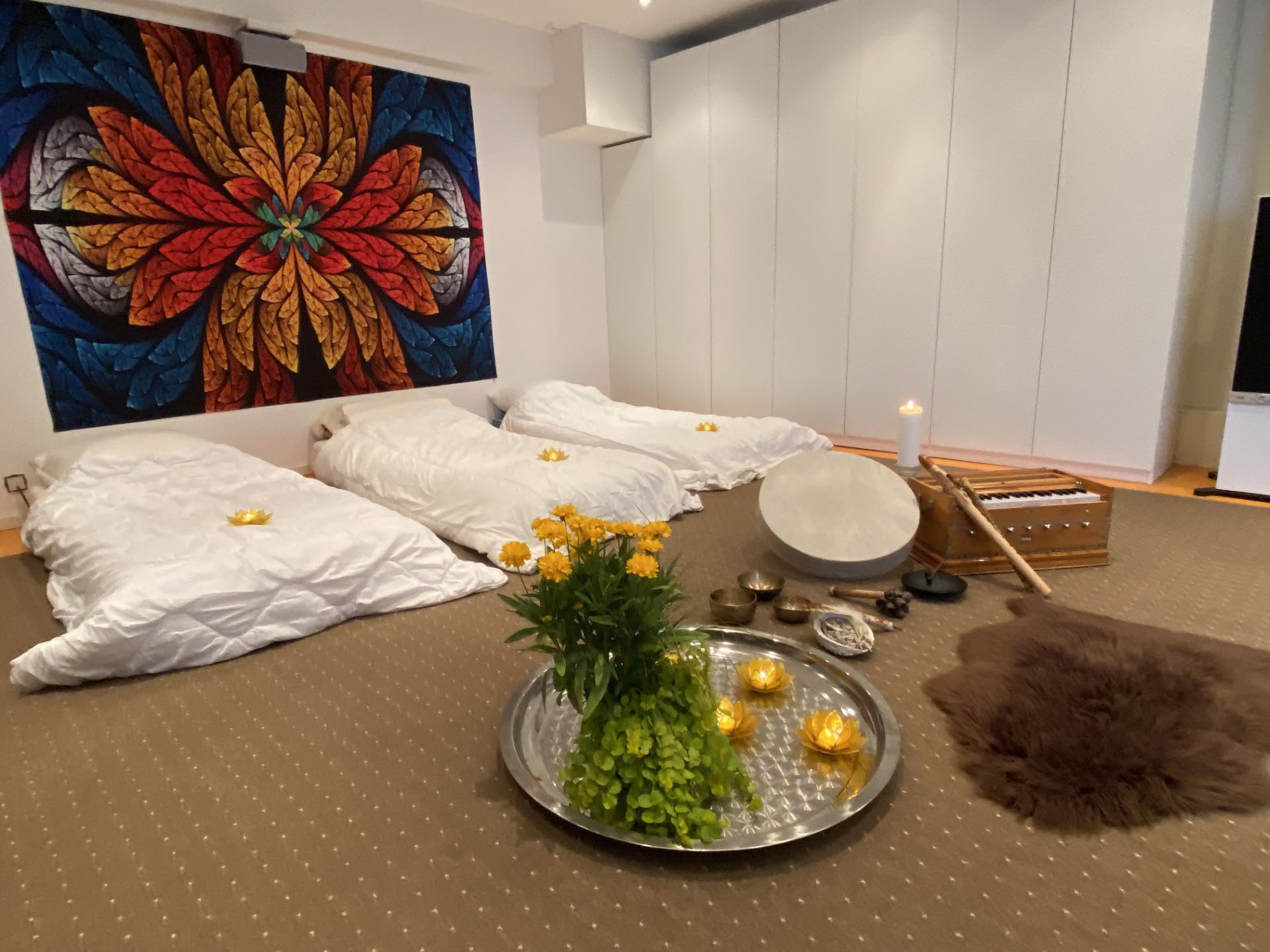 Privat ayahuasca-session