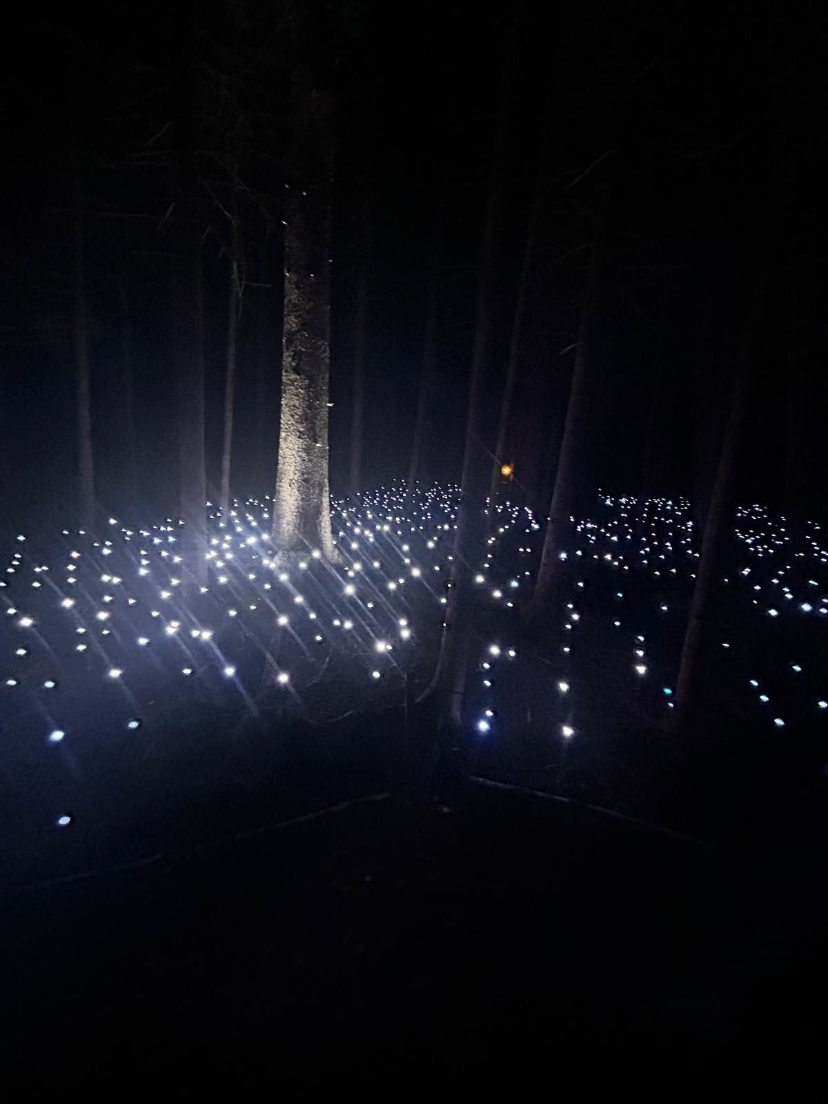 Akadi Lumina Glamping-oplevelsen