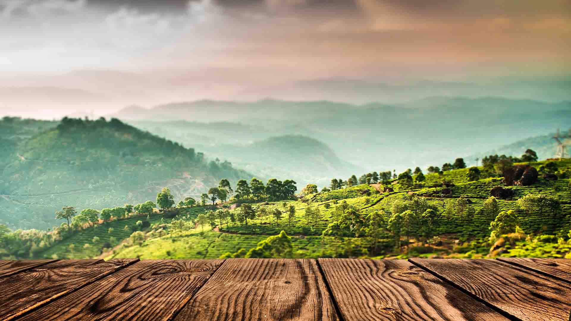 Yoga-retreat i en ashram