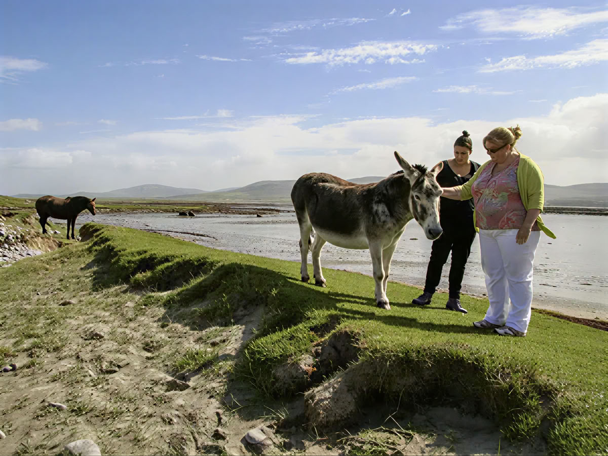Parret-retreat i Irland