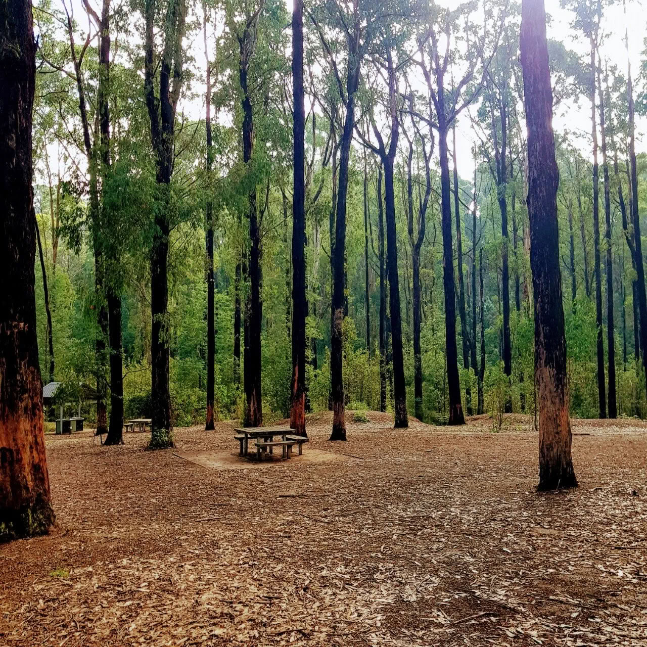 Vinterweekend-retreat