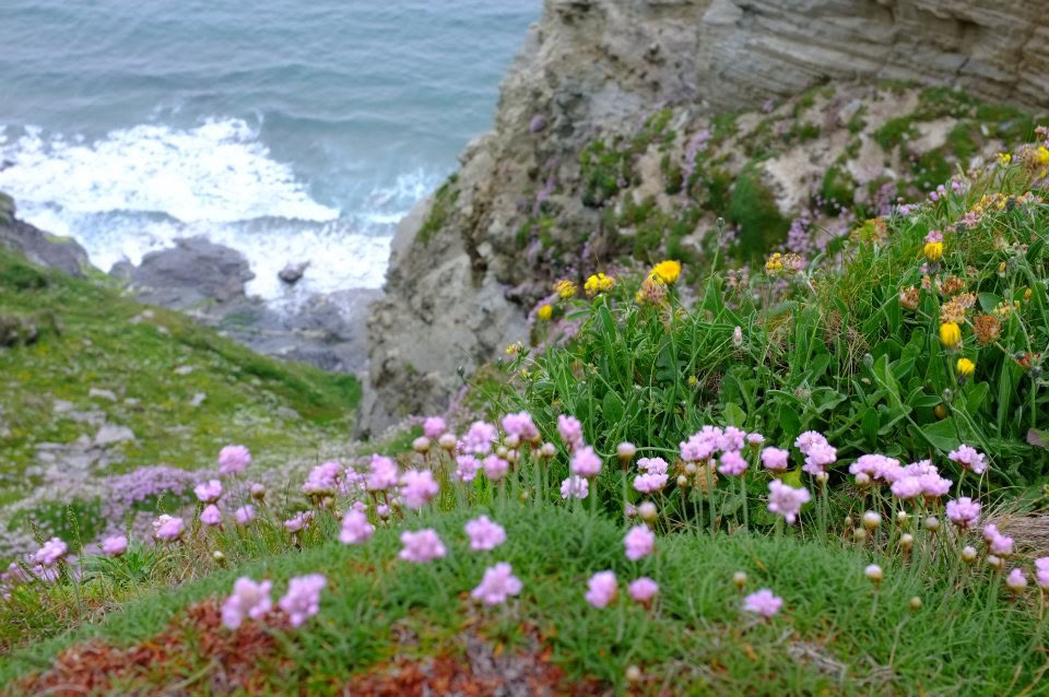 5-Nætters Meditations- og Mindfulness-retreat