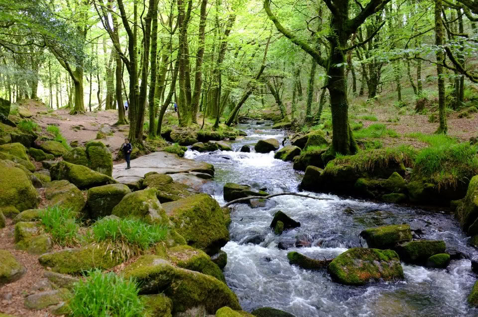 5-Nætters Meditations- og Mindfulness-retreat