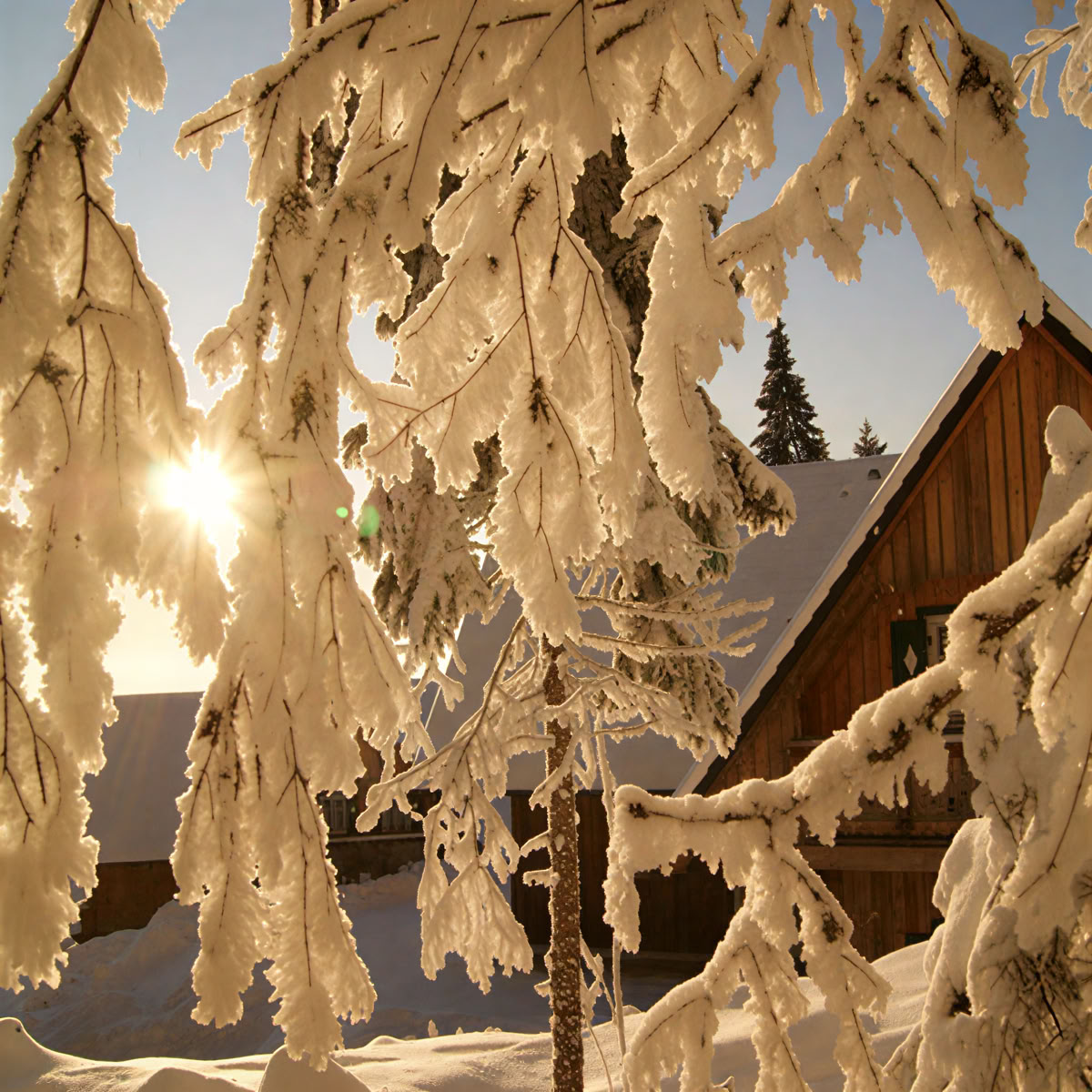 Parretretreat på Reinischkogel