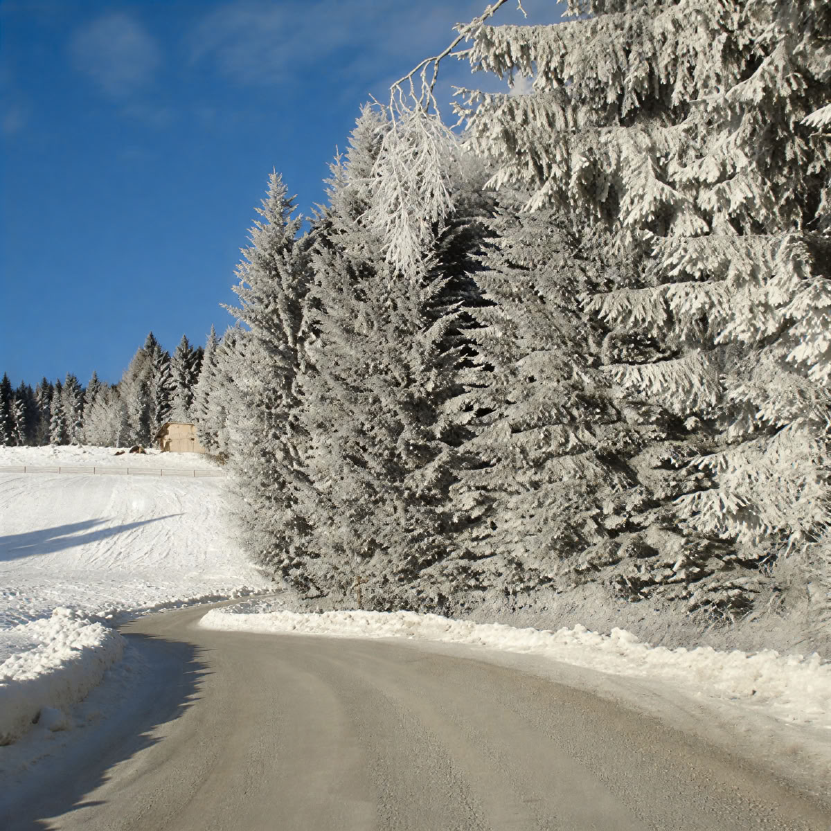 Parretretreat på Reinischkogel