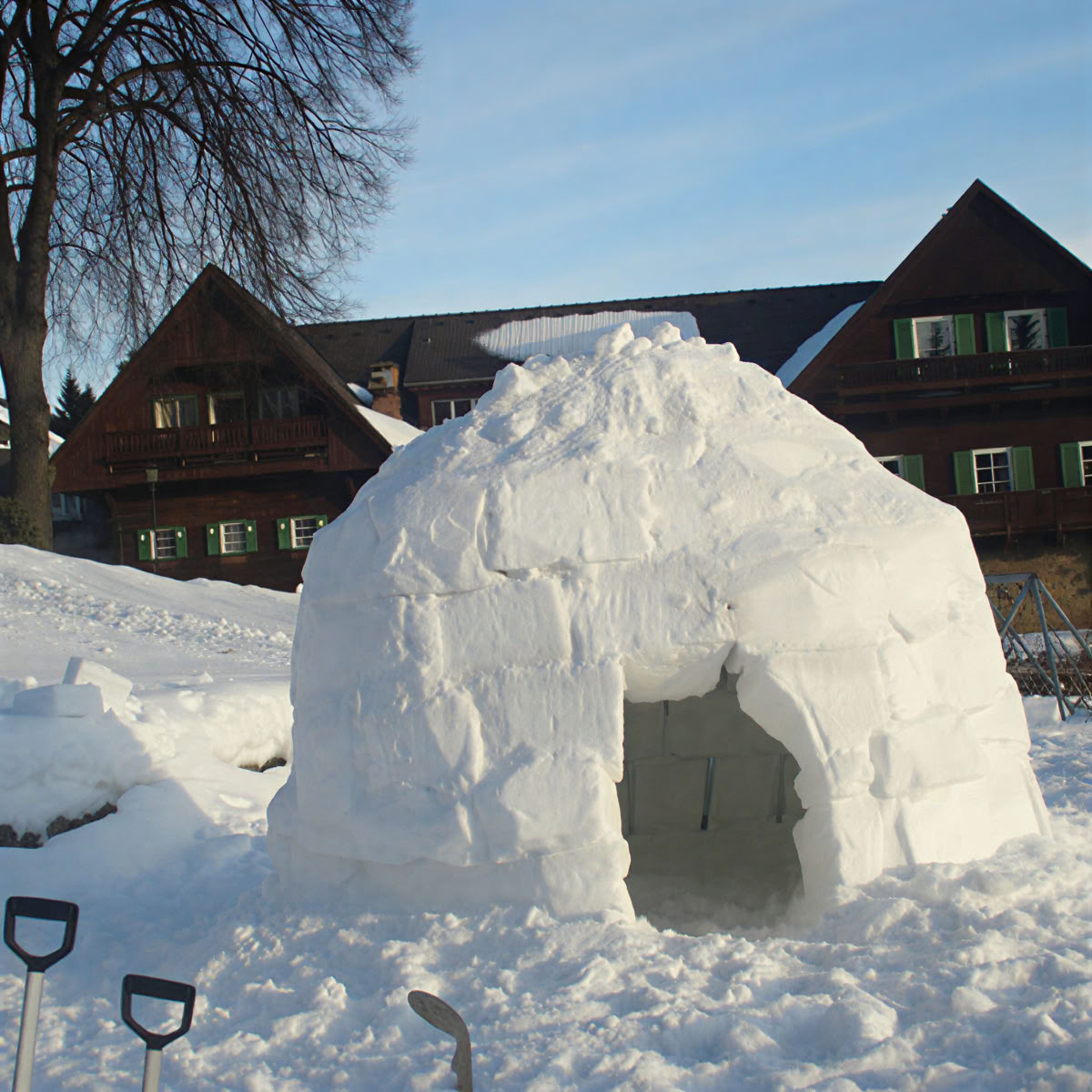 Højrebane
