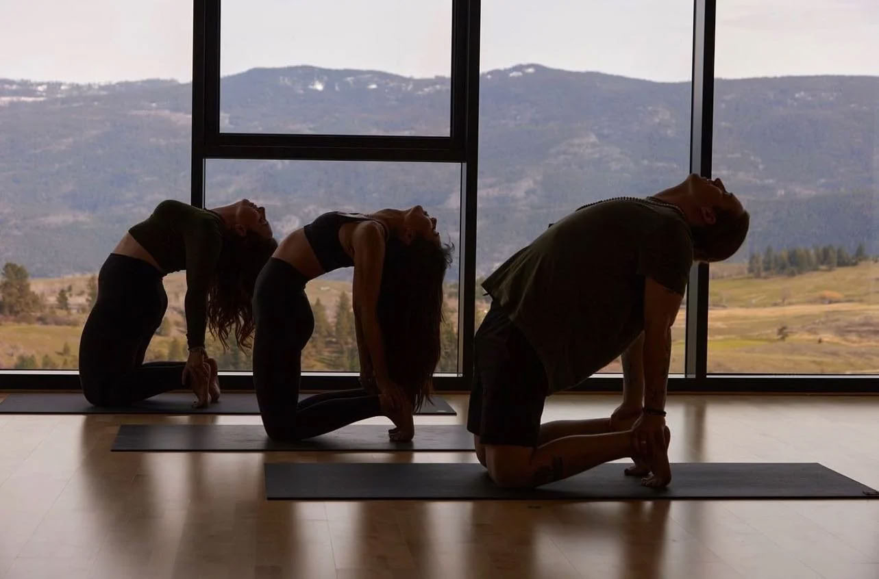 Yoga og meditation ved Okanagan-søen ved kajen!