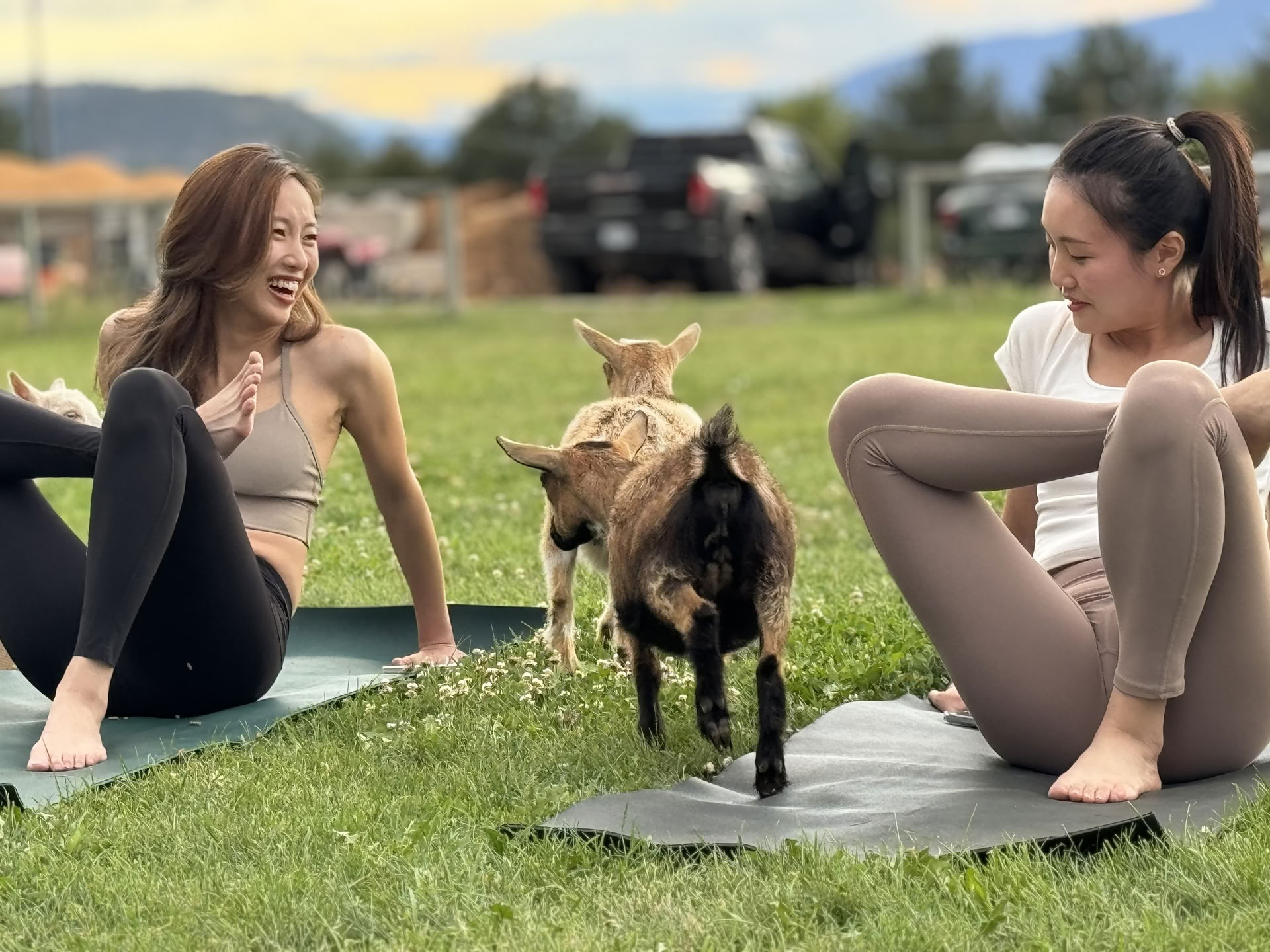 Yoga og meditation ved Okanagan-søen ved kajen!