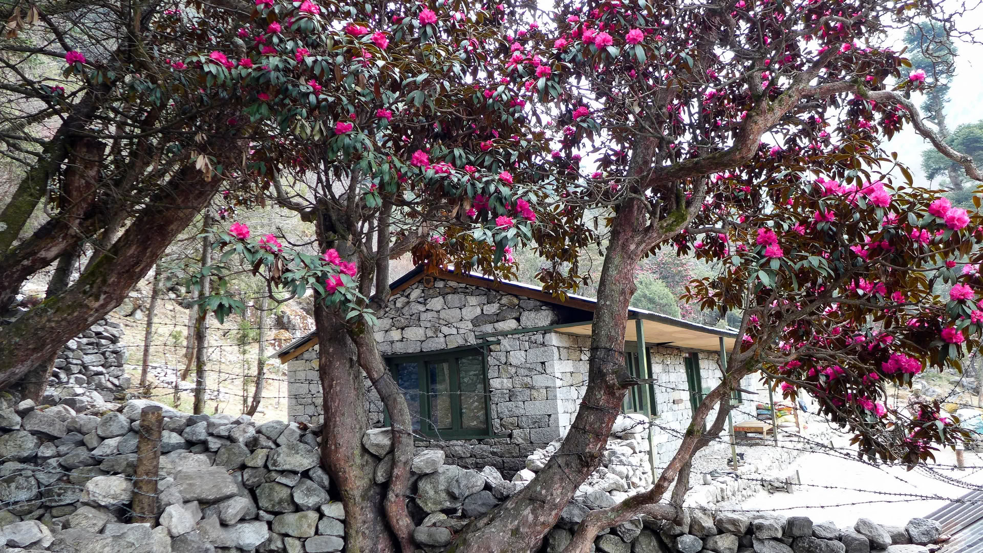 Annapurna Base Camp