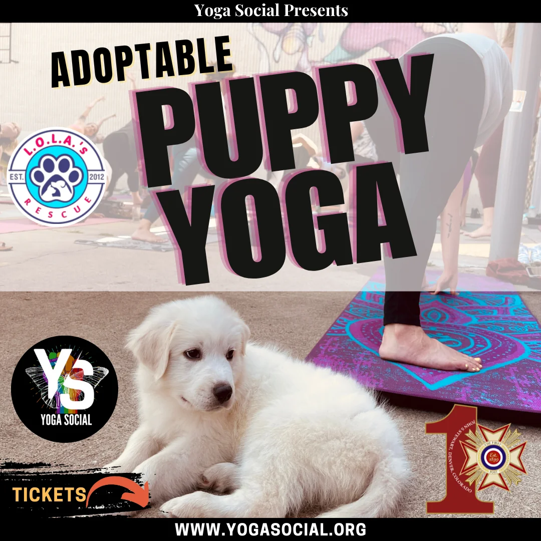 Yoga hos VFW Post 1 | Denver