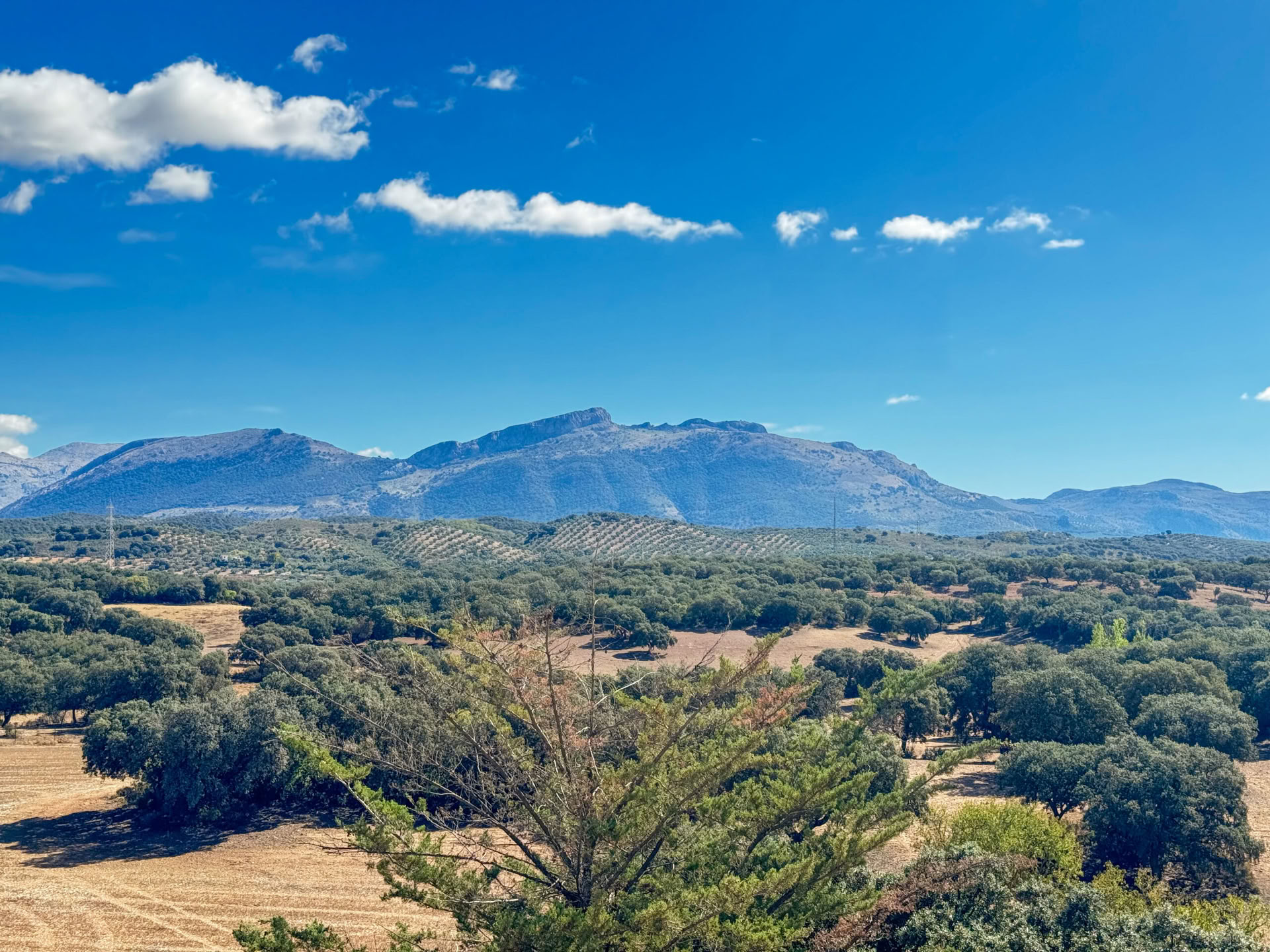 Lej Finca La Lola