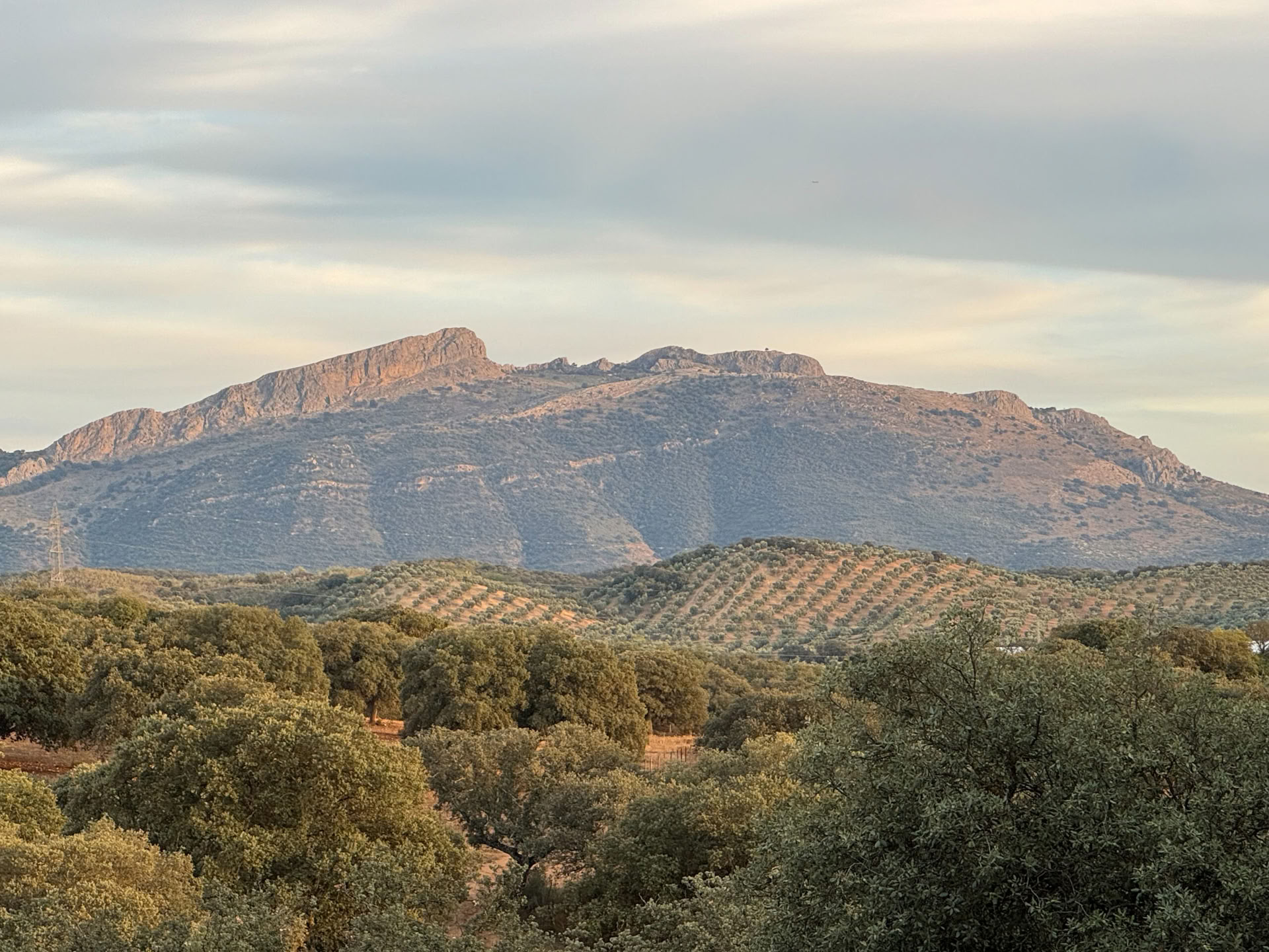 Lej Finca La Lola