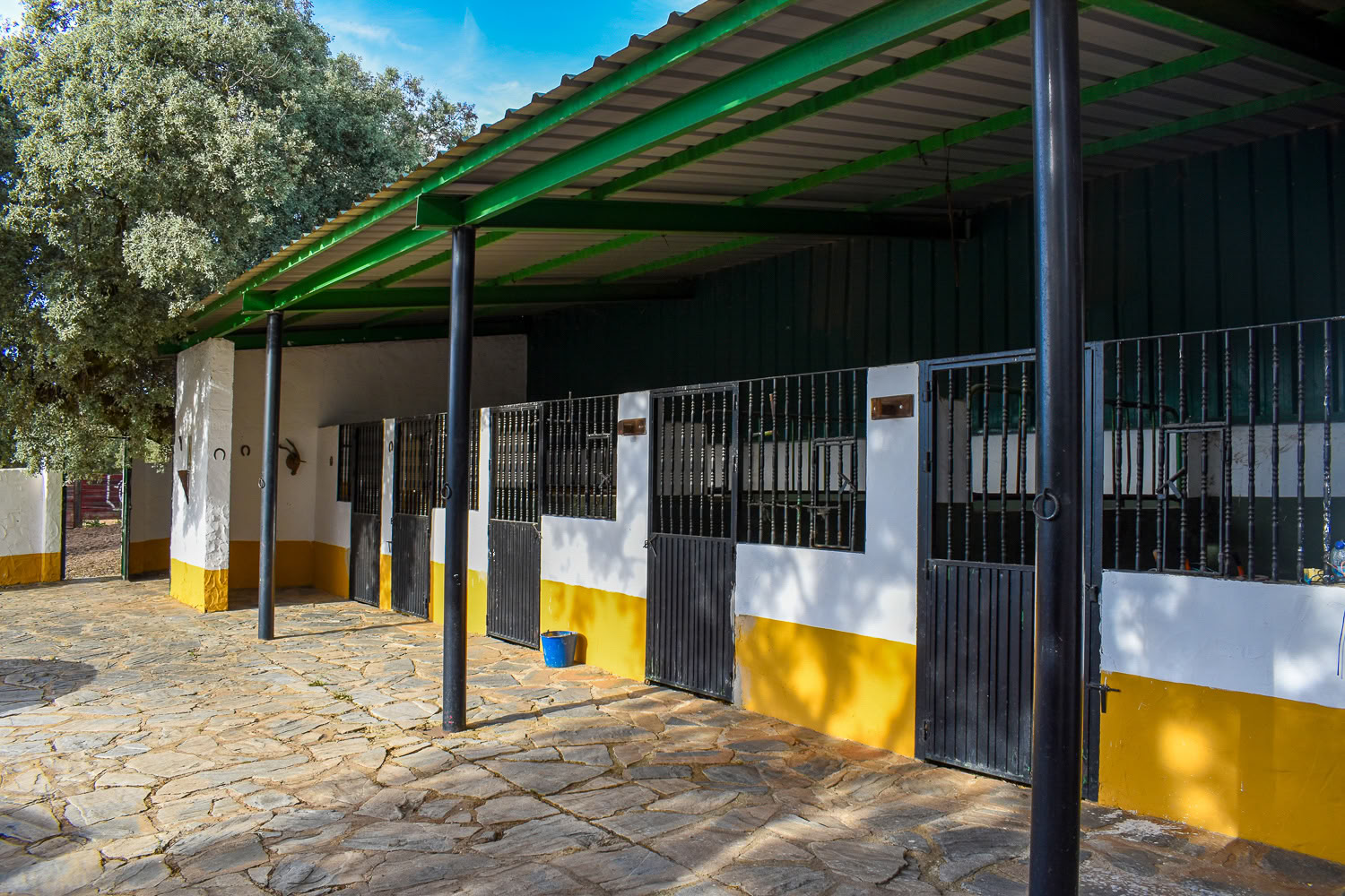Lej Finca La Lola