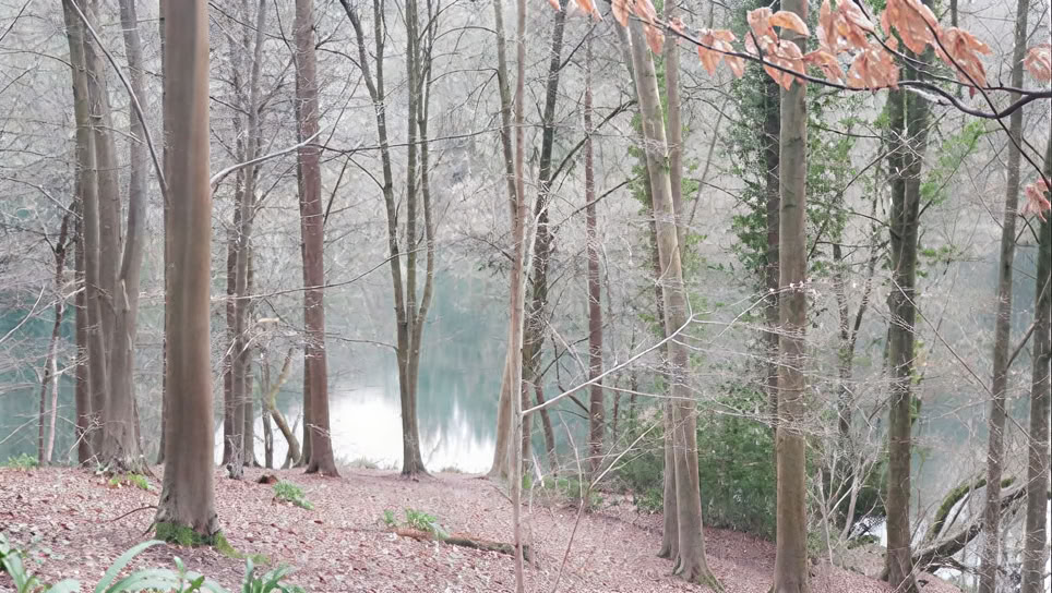 Væk Dit Kreative Selv - 1-dags Lørdagsretreat