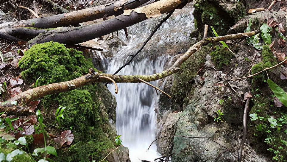 Væk Dit Kreative Selv Sommer – 5-dages luksusretreat