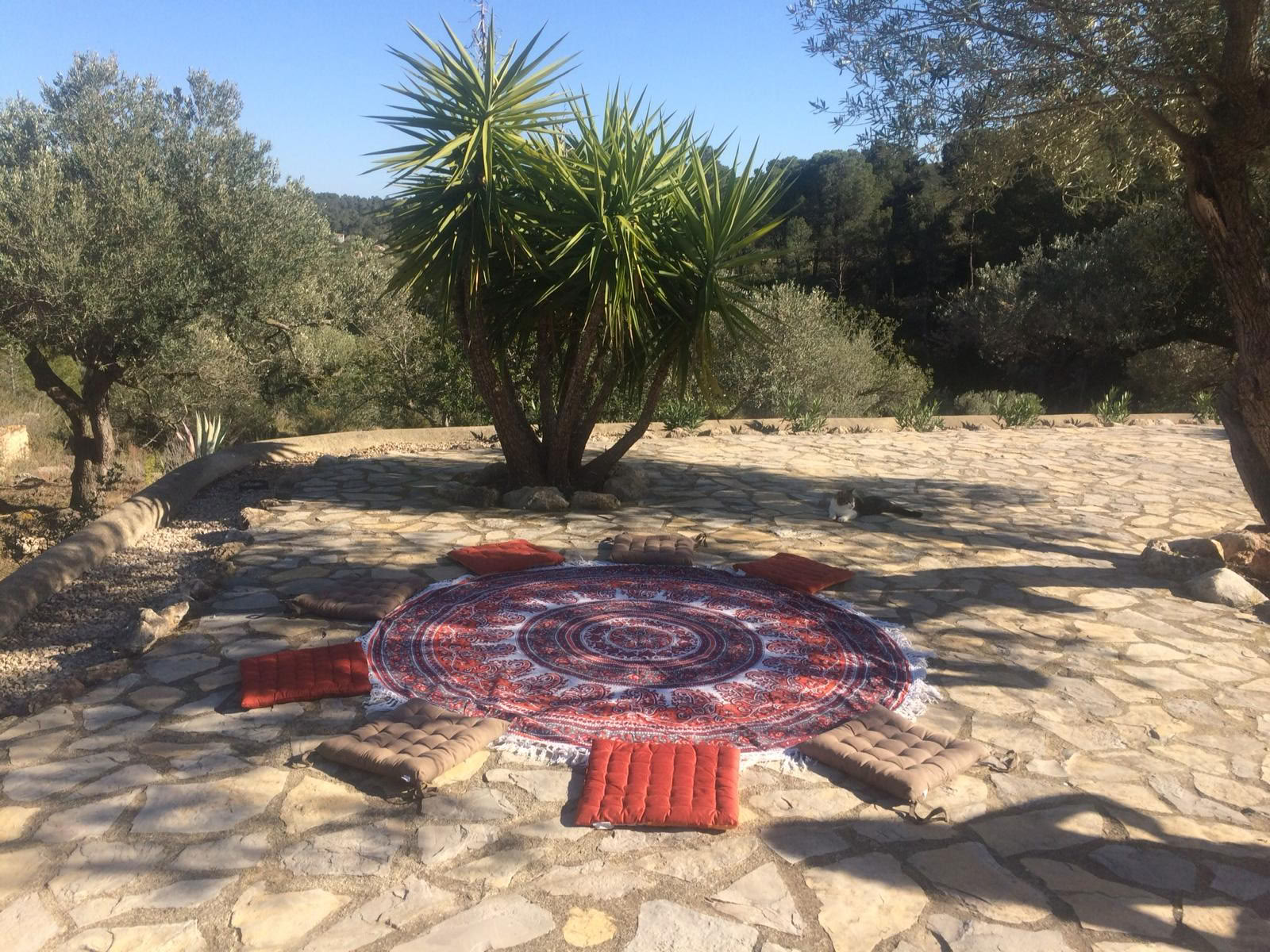 Yoga- og dyb hvile-meditationsretreat
